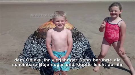 familie macht mit kindern fotos am strand pl tzlich schweben alle in my xxx hot girl