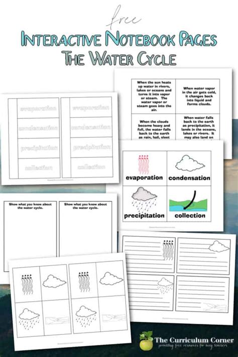 The Water Cycle Interactive Notebook Pages The Curriculum Corner 123