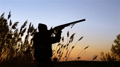 Decline In Hunting Threatens Conservation Funding College Of Natural Resources News