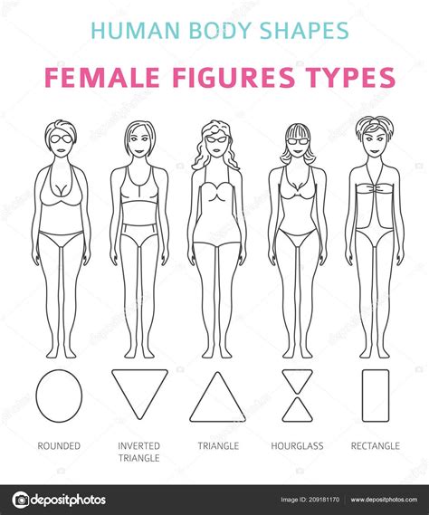 Download Human Body Shapes Female Figures Types Set Simple Line Design Vector Illustration