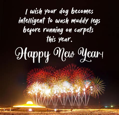 Funny New Year Quotes For Himher Viralhub24