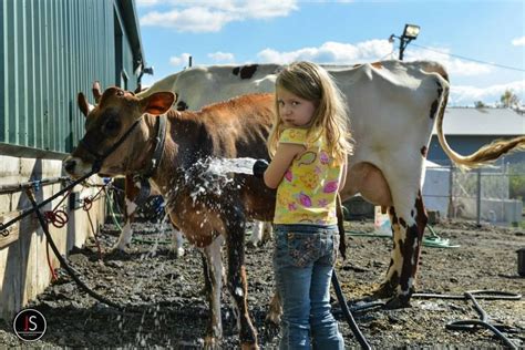 Exhibitors Taking Care Of Their Animals Animals Livestock Exhibition