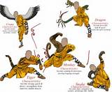 Kung Fu Fighting Styles List Pictures