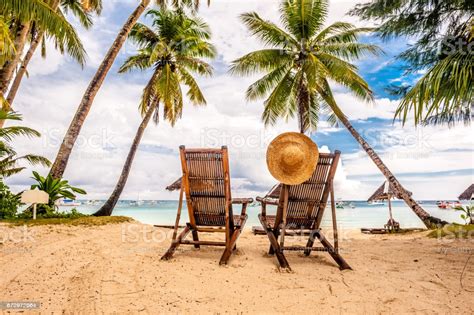 Beautiful Beach With Palm Trees Stock Photo Download