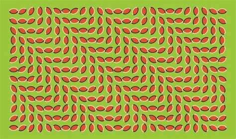 Slideshow The 10 Most Incredible Optical Illusions