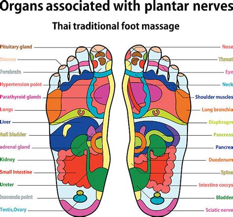 Foot Massage Illustrations Royalty Free Vector Graphics And Clip Art Istock