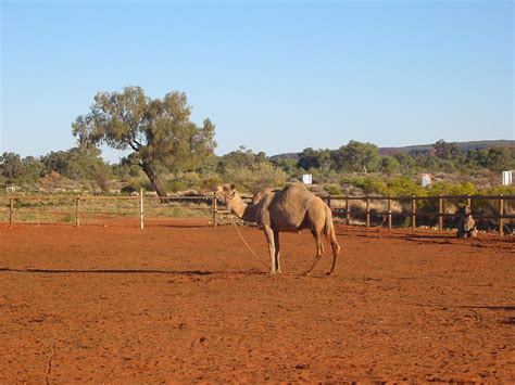 Auf die merkhilfe findest du kostenlose nachhilfe in biologie, deutsch, englisch, mathe, geografie, geschichte, spanisch, philosophie, physik, chemie, religion, wirtschaft, informatik, politik. In The Outback Zusammenfassung Deutsch / Spracherwerb und ...