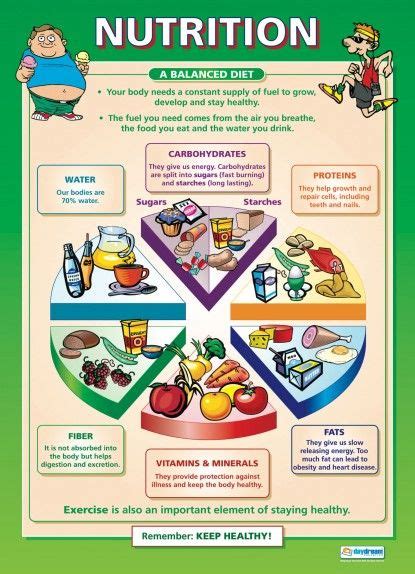 Nutrition Health And Social Educational School Posters Nutrition