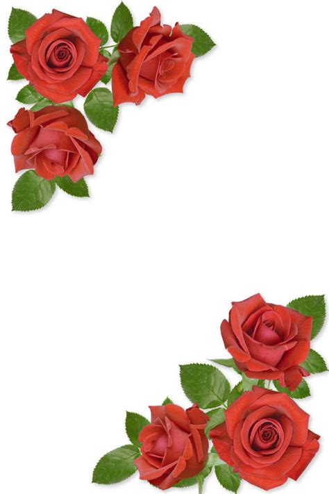 Rose Page Borders Clipart Best