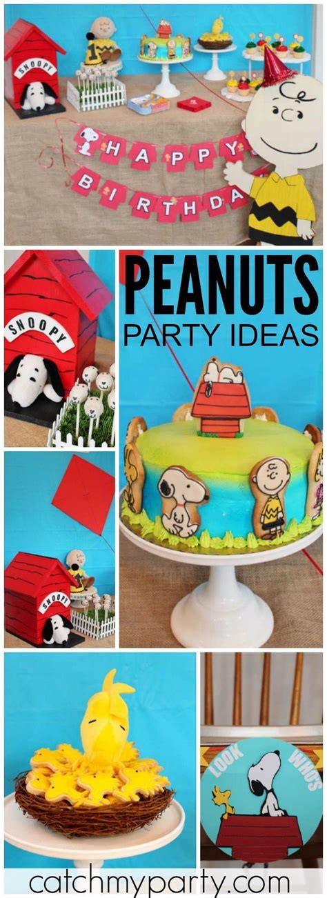 Peanutscharlie Brown Birthday Peanuts 1st Birthday Party Catch