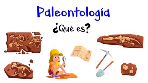 🦖 ¿qué Es La Paleontología 🦕 Fácil Y Rápido Youtube