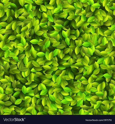 Green Leaves Texture Seamless Pattern Eps10 Vector Image