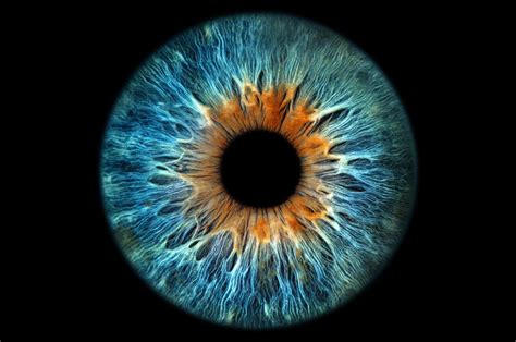 Iris Eye Hd Wallpaper