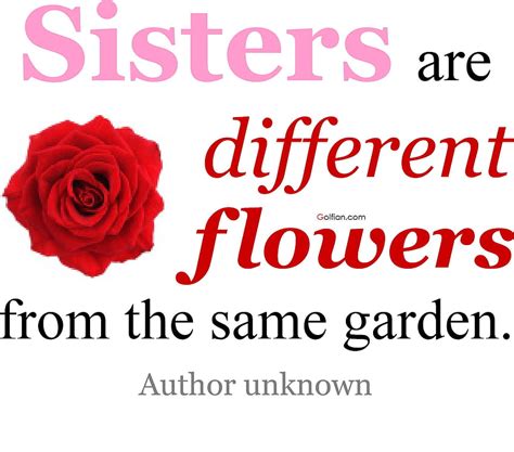 8 most beautiful sister quotes best sister love sayings best sis ever hd wallpaper pxfuel