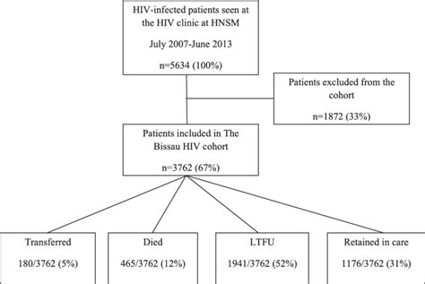 Patient Flow At The Hiv Clinic At Hnsm And Outcome By December 2013