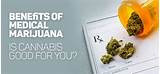How To Get A Marijuana License