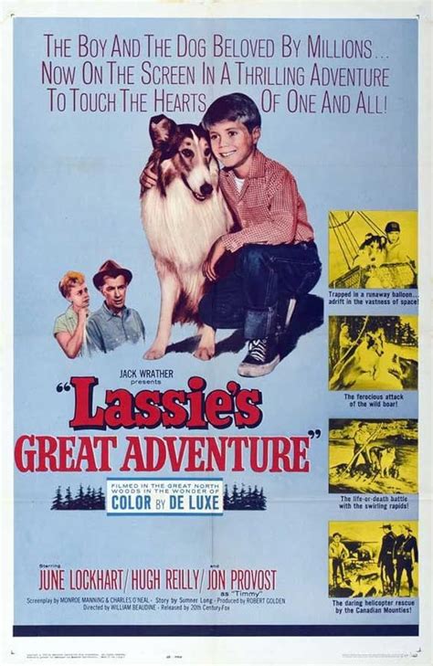 Lassies Great Adventure 1963 Imdb