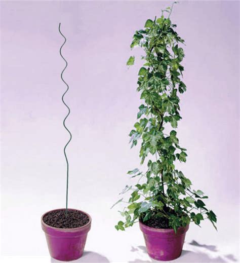 Mtb Plant Supports Spiral Tomato Cages Green 59 Inch Heightdia 6mm