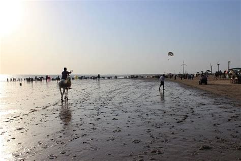 Mandvi Beach 2020 All You Need To Know Before You Go With Photos