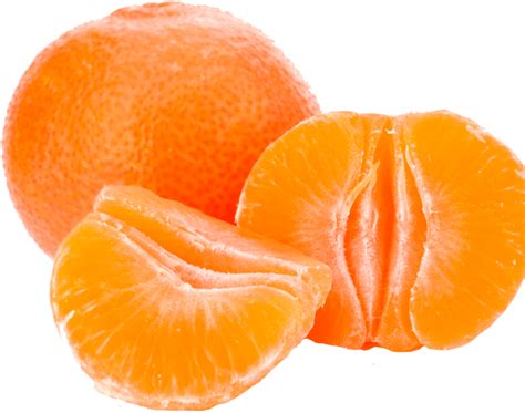 Fresh Tangerine Oranges Tangerine Fresh Tangerine Fresh Minneola