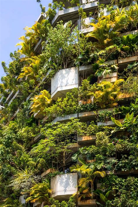 Vo Trong Nghia Architects Taking Over The Greenery World Article On