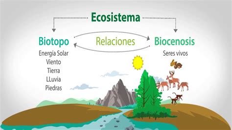Biocenosis Qué Es Ecología Tipos Y Ejemplos Renovables Verdes