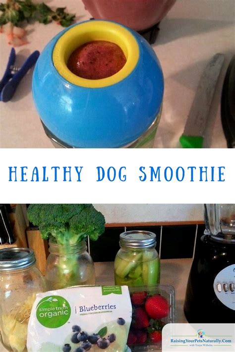 Commercial low calorie dog treats on amazon. Healthy Dog Treat and Snack Recipes Healthy Dog Smoothie ...