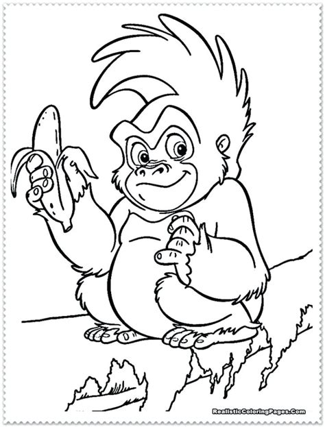Baby Jungle Animals Coloring Pages At