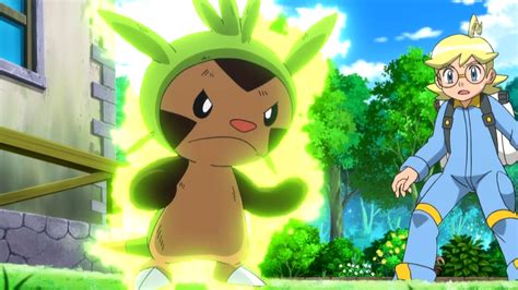 Image Clemont Chespin Overgrowpng Pokémon Wiki Fandom Powered By