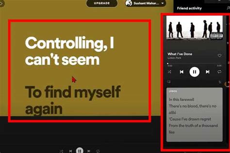 How To Fix Spotify Lyrics Not Showing In 5 Easy Steps