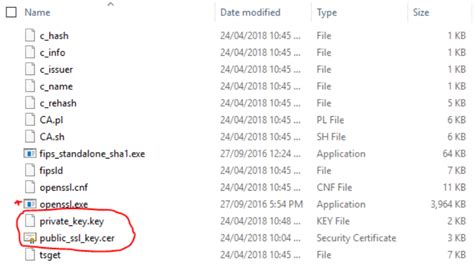 Convert Ssl Certificate To Pfx Format Microsoft Iis Think It Security