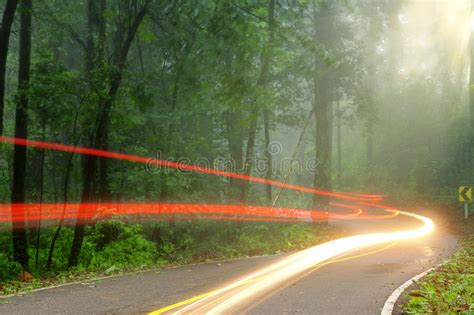 Forest Road In Early Foggy Morning With Visible Sun Rays Stock Image