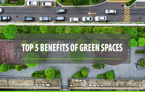 Top 5 Benefits Of Green Spaces