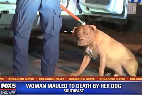 Woman Is Mauled To Death By Her Own Pit Bull Inside A Washington Dc