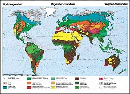 Vegetation Zones Of The Earth Educational Chart Decorative Poster Cm X Cm On Canvas
