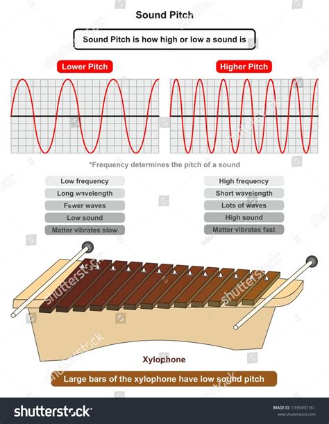 Sound Pitch Infographic Diagram Showing Comparison Of High And Low Freq