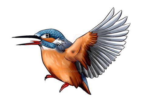 Kingfisher By Ameban On Deviantart