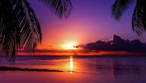 Tahiti Sunset Photograph By Jonathan Ross Pixels