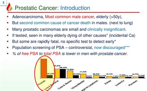 Ppt Pathology Of Prostate Cancer Powerpoint Presentation Free Download Id