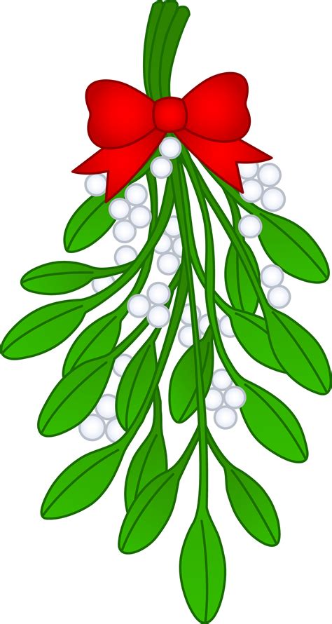 Simple Mistletoe Drawing Free Download On Clipartmag