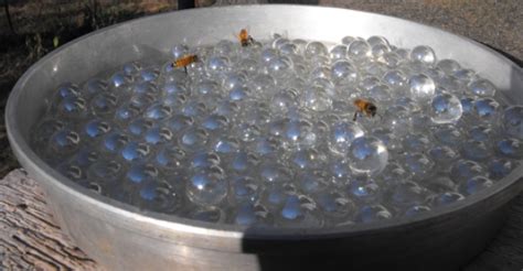 So, if you're looking for the best flying devices in the game, and how to get them, strap yourselves in. Make A Bee Waterer And Help Hydrate Our Pollinators