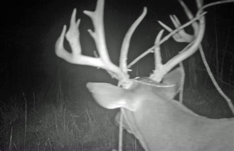 One Year Later Huntstand Helps Anchor Ar 14 Point Big Buck Alert