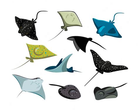 Free Vector Comic Stingrays Flat Vector Illustrations Set Cute Fish