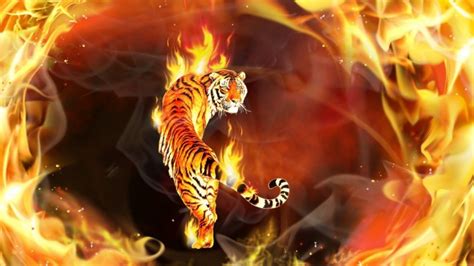 Wallpaper Fire Angels Tigers Love Abstract Neon Tiger 1366x768