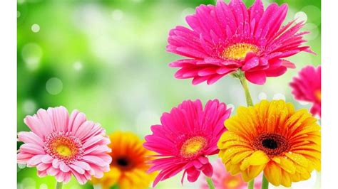 25 Incomparable Spring Wallpaper Wide You Can Download It Free