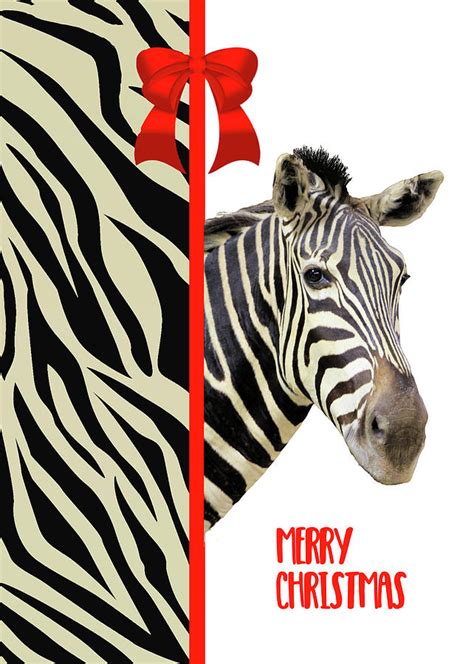 Zebra Christmas Card Mixed Media By Rosalie Scanlon Fine Art America