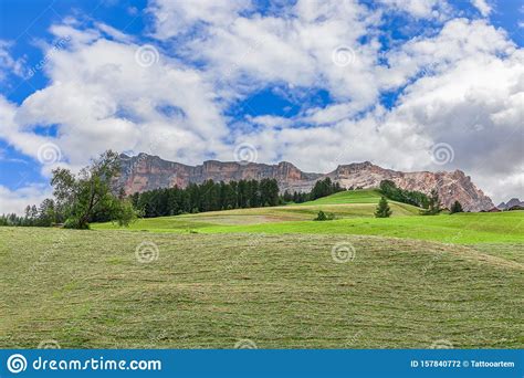 A Beautiful View Of A Freshly Cut Alpine Meadow The Peaks Of The