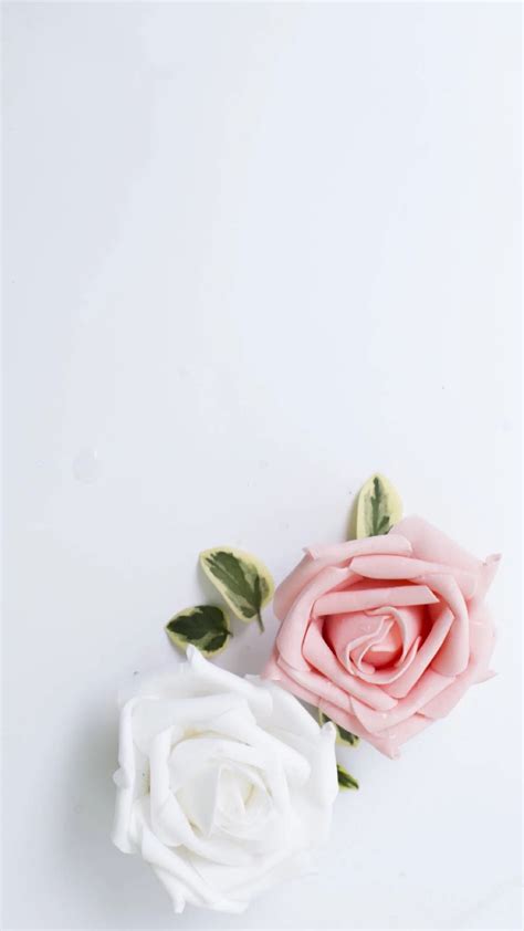 Aesthetic Rose Computer Wallpapers Top Free Aesthetic