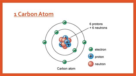 Diagram Labeled Diagram Of Carbon Atom Mydiagram Online
