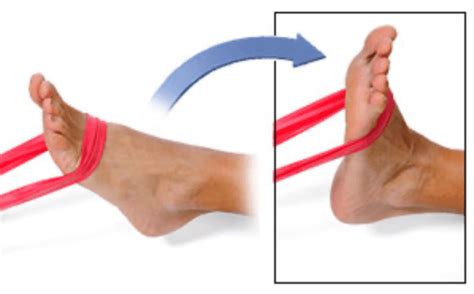 Ankle And Foot Exercises Gmphysio